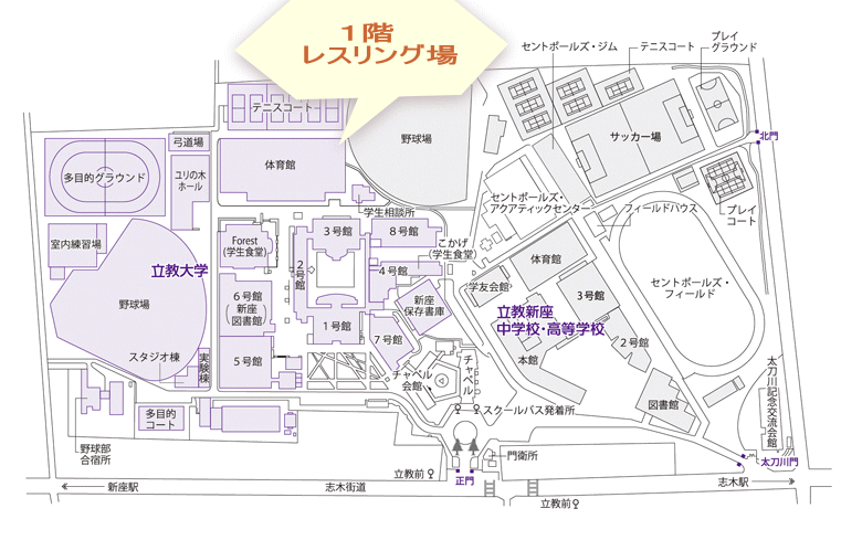 バンガローのAタイプ